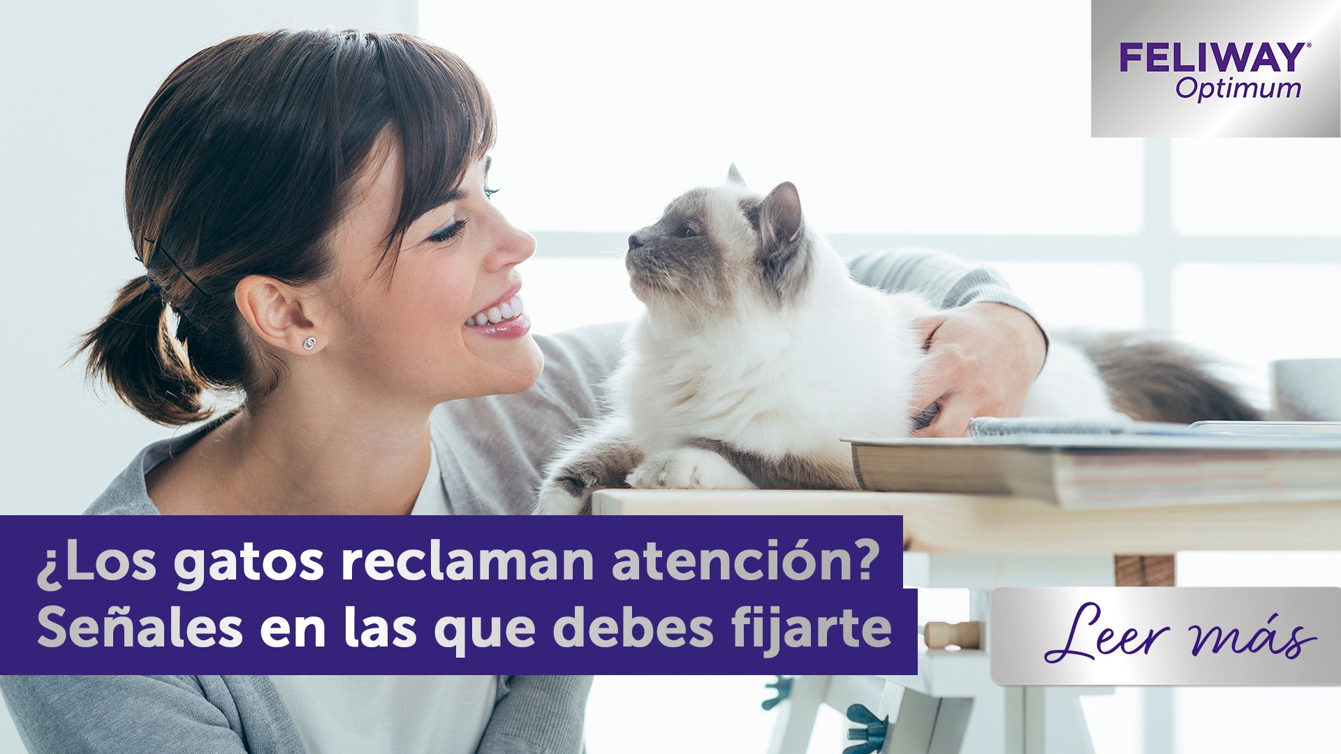 ¿Los gatos piden atención? Señales en las que debes fijarte