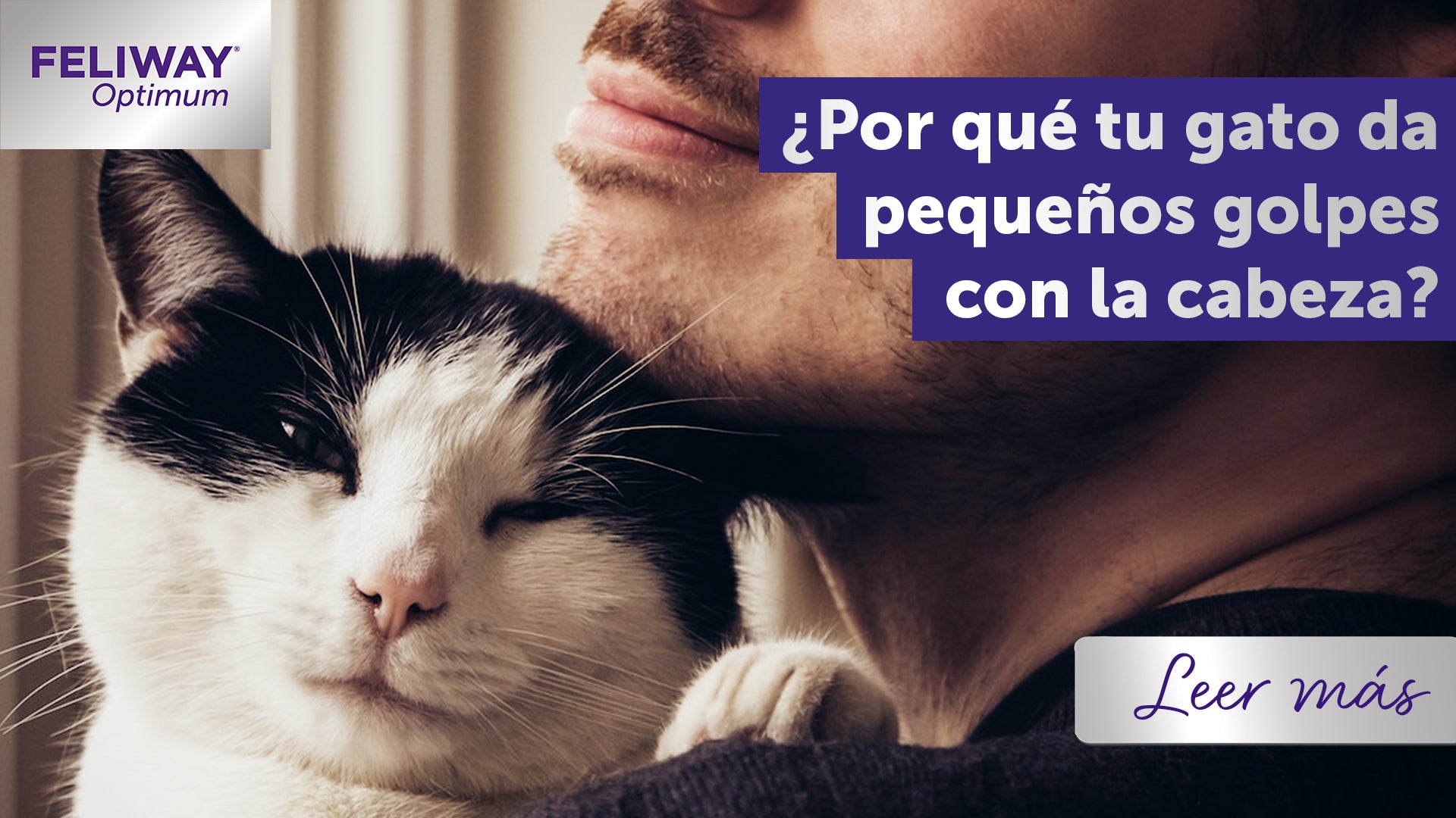 El punto de vista de un gato: Por qué da golpecitos con su cabeza
