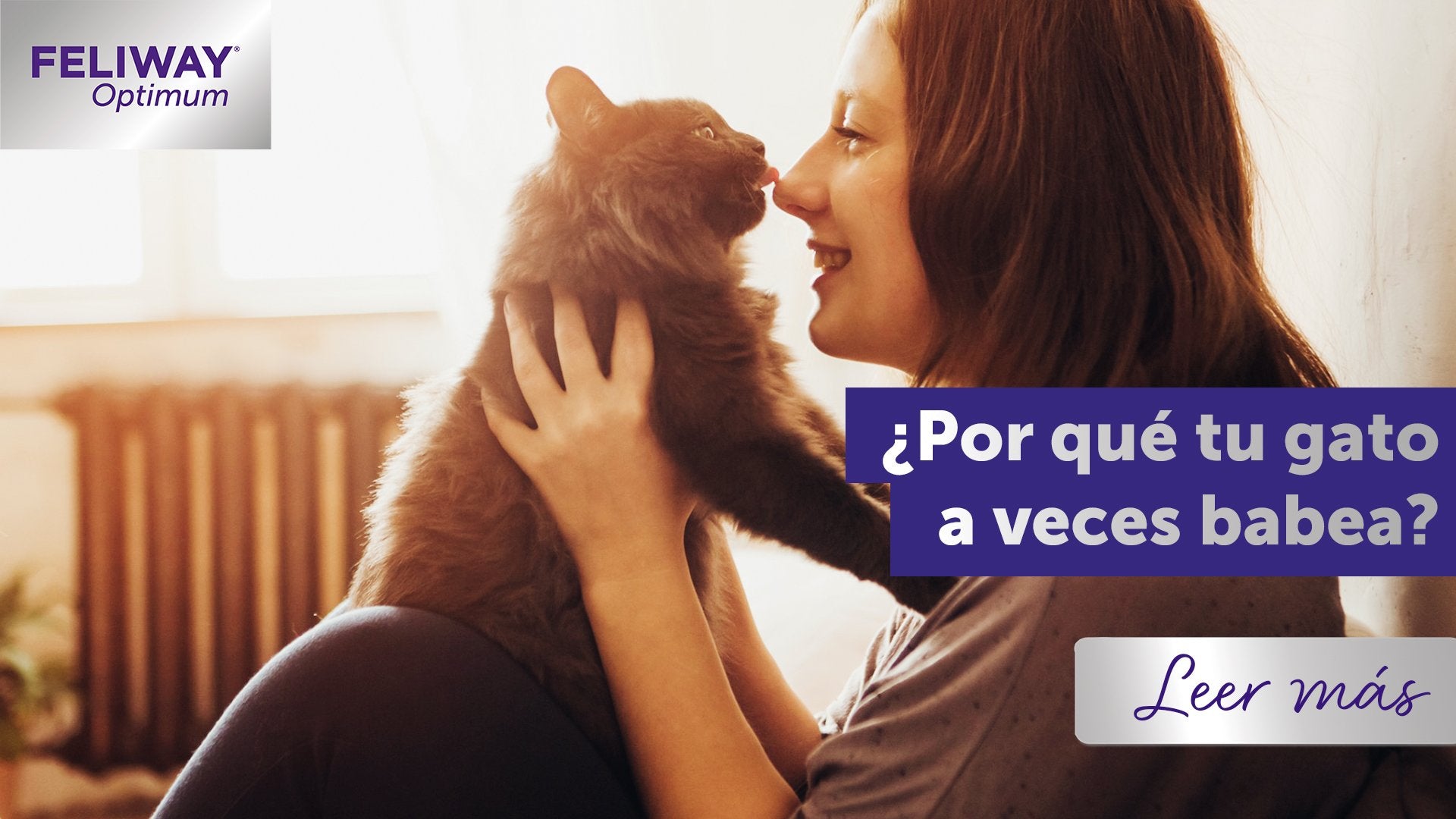 El punto de vista de un gato: ¿Por qué babea mi gato?