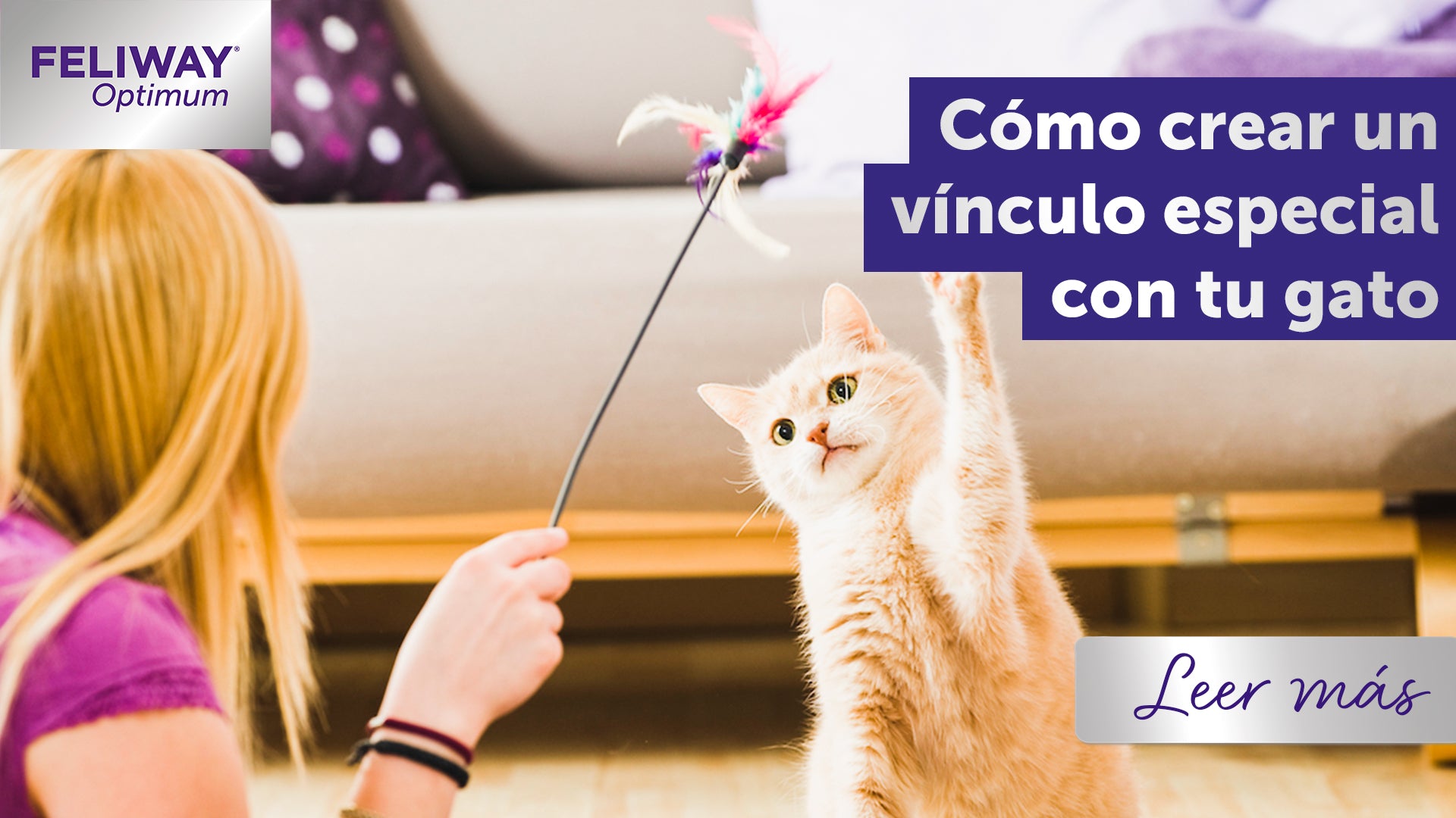 Cómo FELIWAY Friends te ayuda mejorar el vínculo con tus gatos