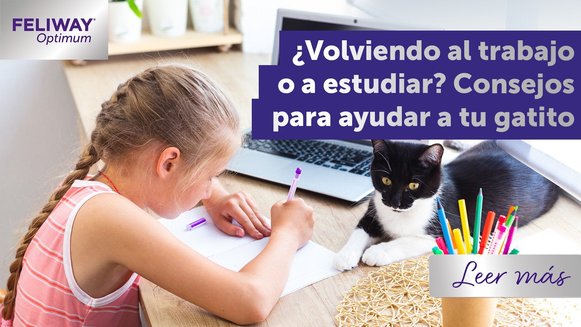 ¿Vuelta al trabajo? Ayuda a tu gato a superar los cambios