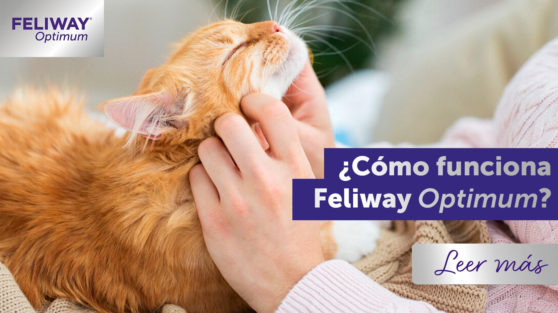 ¿Cómo funciona FELIWAY Optimum?