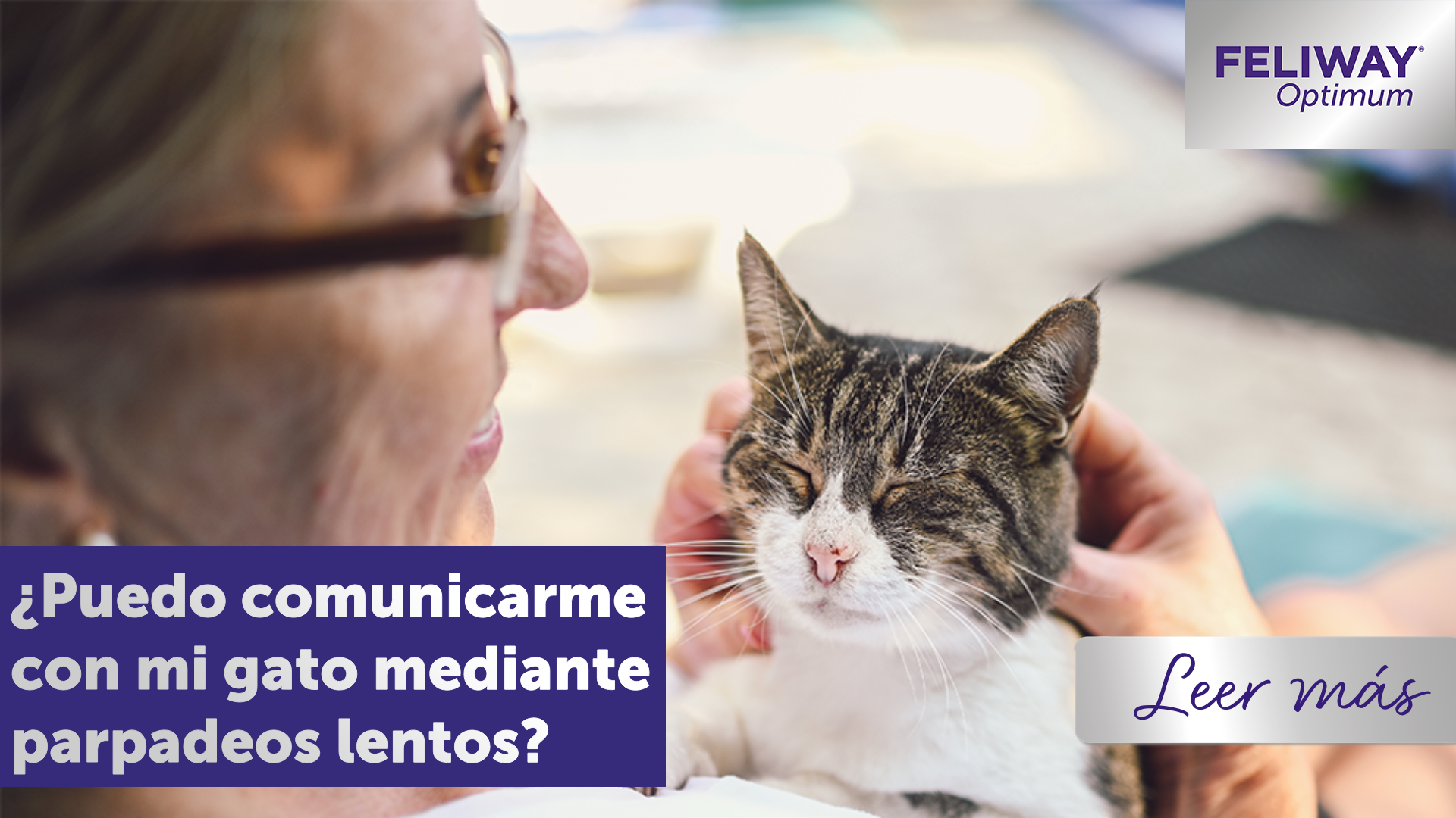 ¿Puedo comunicarme con mi gato mediante parpadeos lentos?