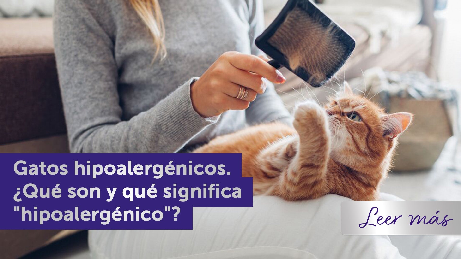 Mujer cepillando a un gato naranja en casa.