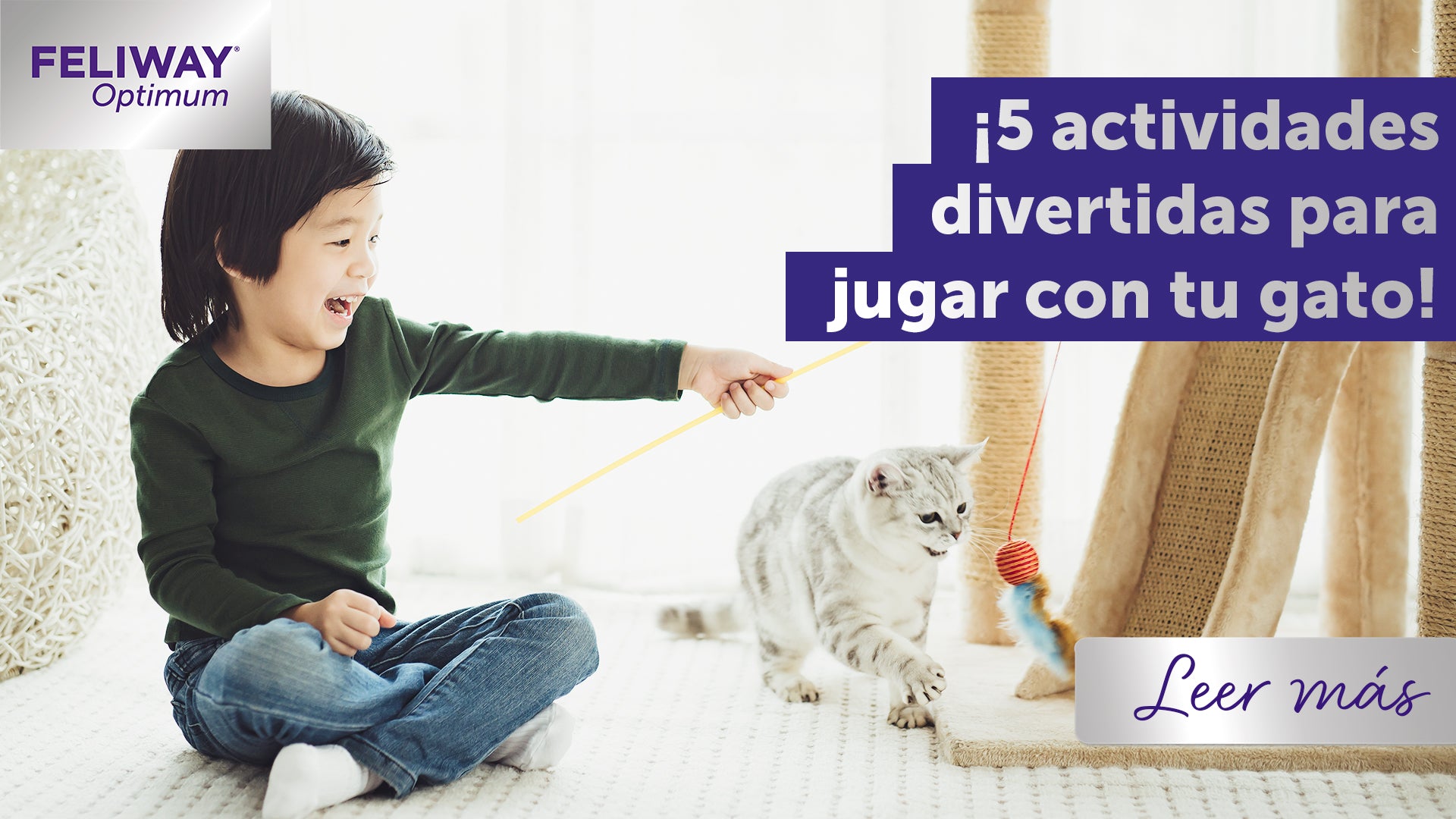 ¿Cómo jugar con tu gato? ¡5 actividades divertidas!