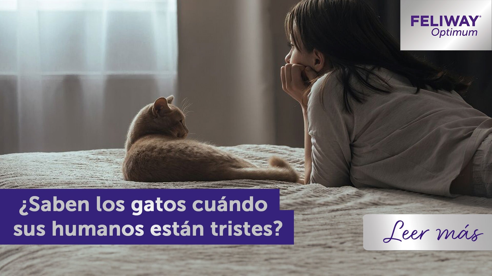 Gato y humano acostados juntos en una cama