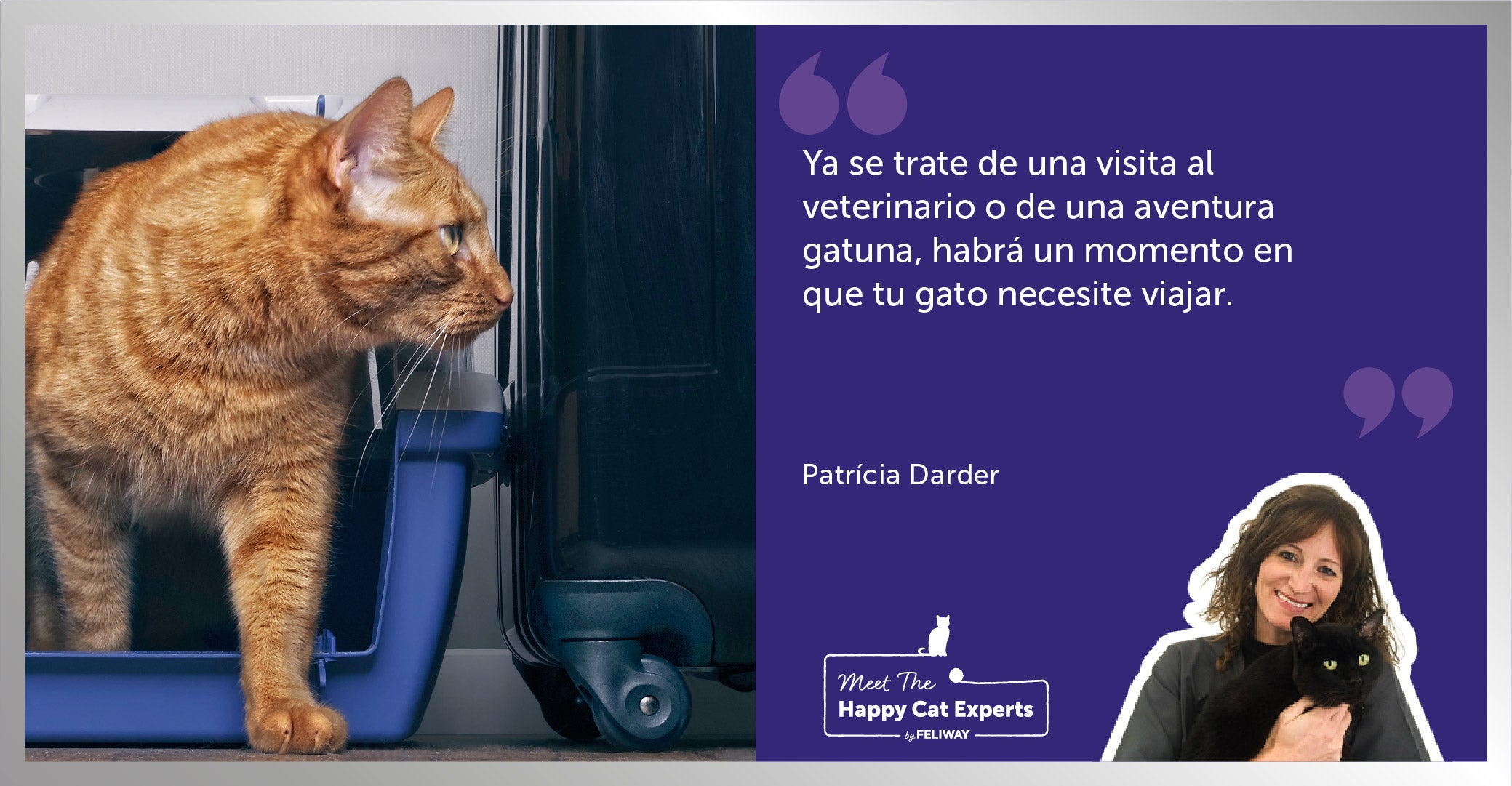 ¿Tu gato se estresa durante los viajes?