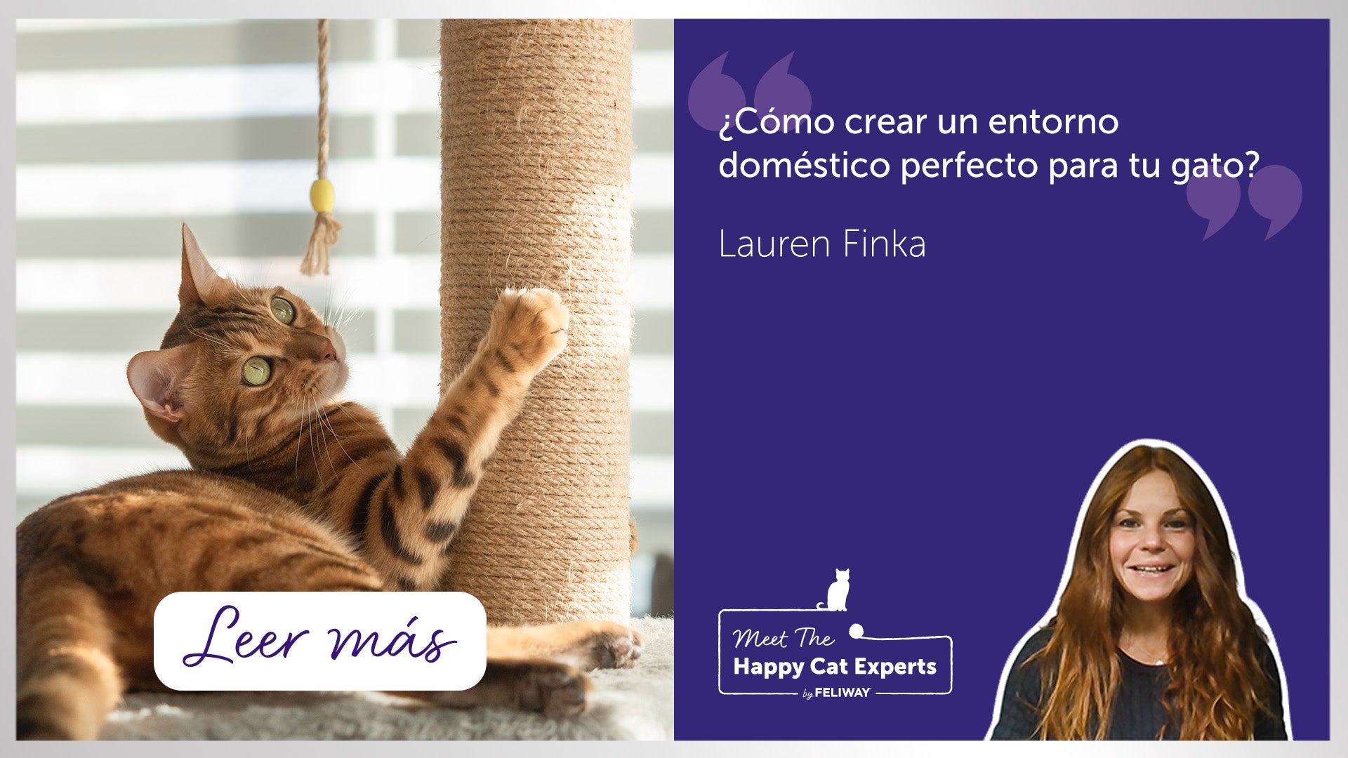 Cómo crear el entorno perfecto en casa para tu gato