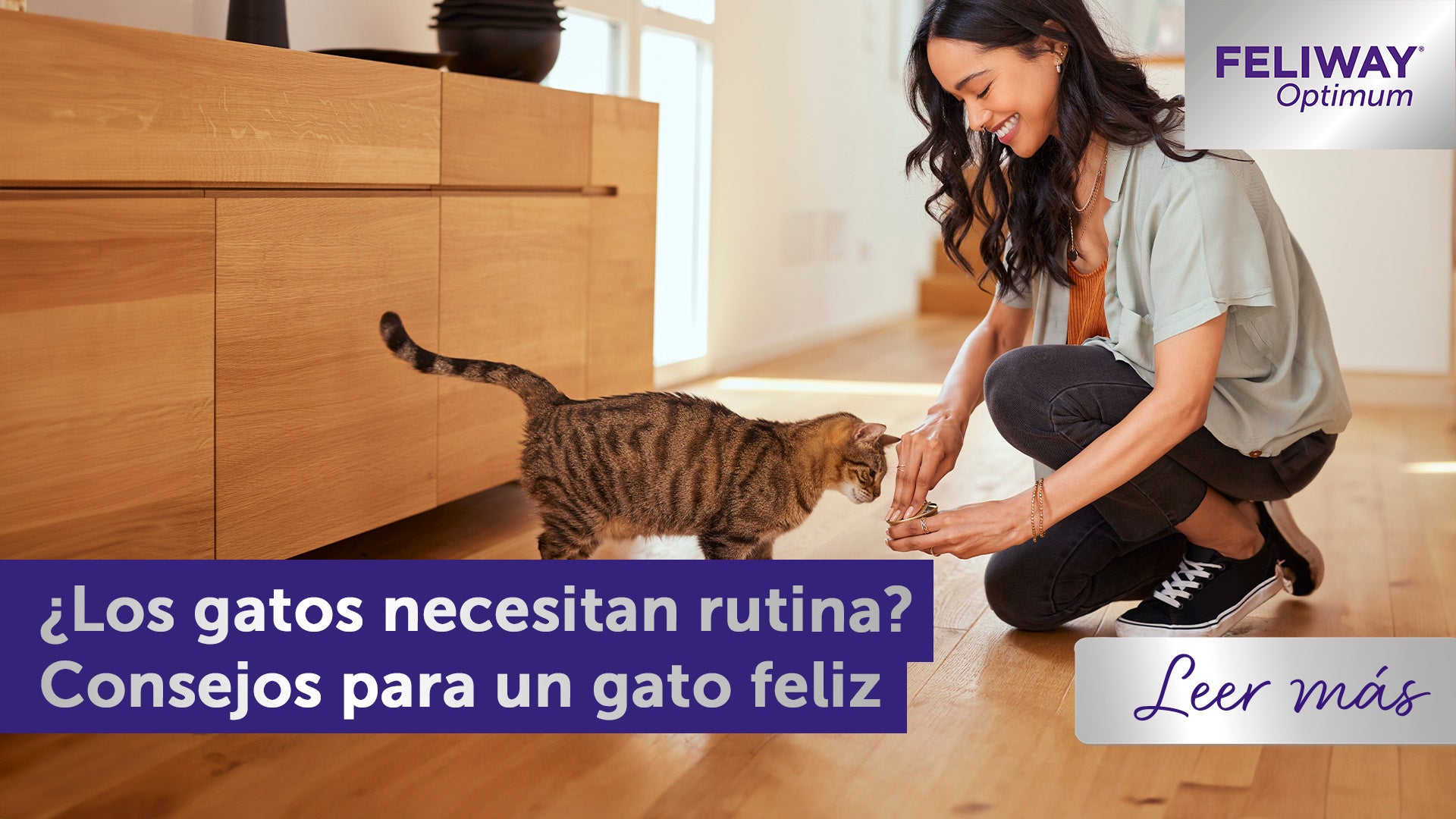 ¿Los gatos necesitan una rutina? Consejos para un gato Feliz