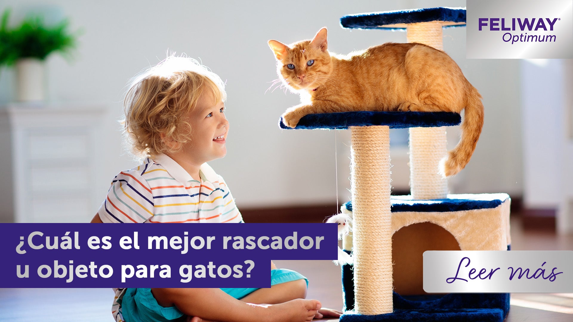 ¿Cuál es el mejor rascador u objeto para gatos?