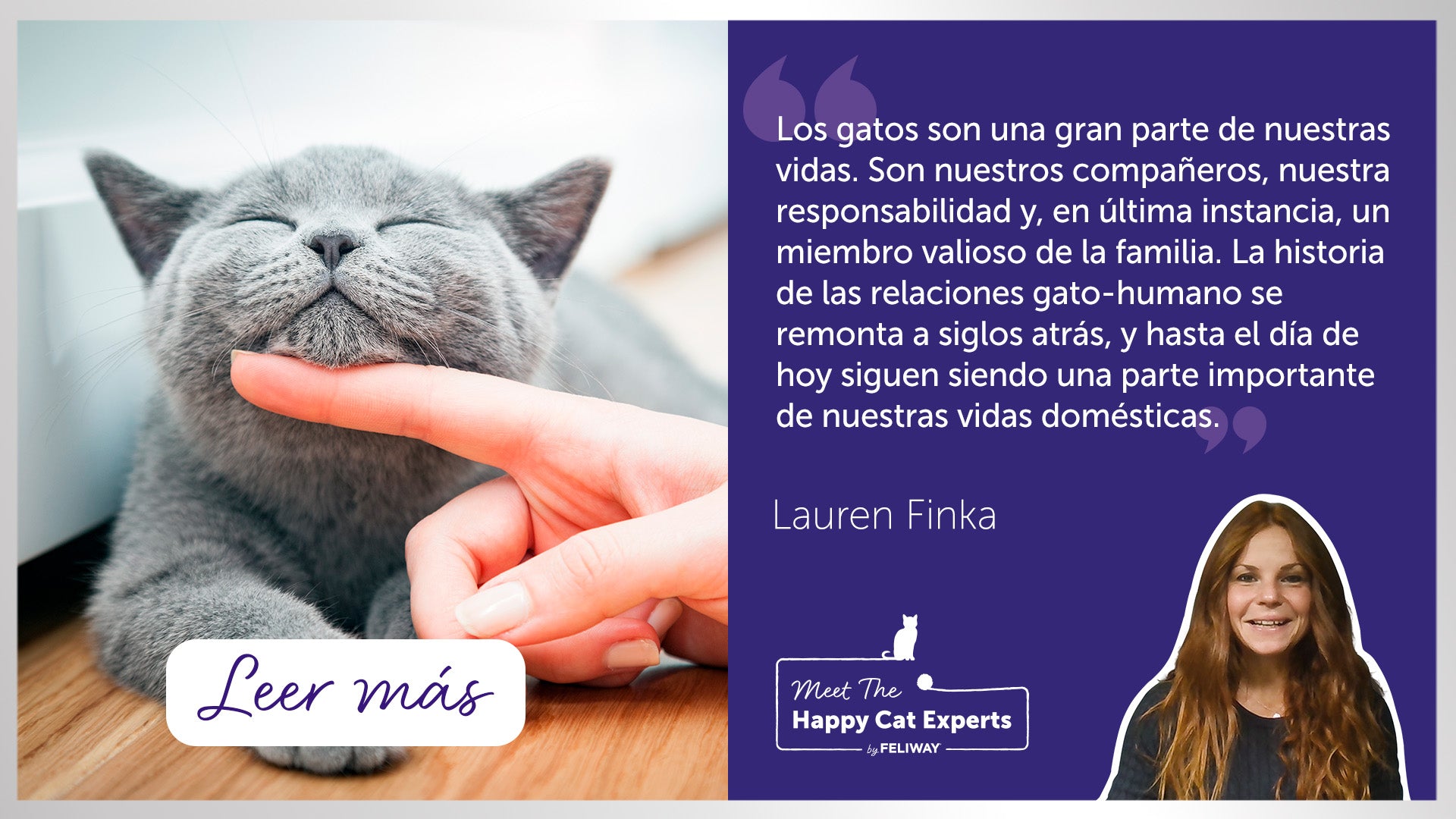 10 datos interesantes sobre los gatos