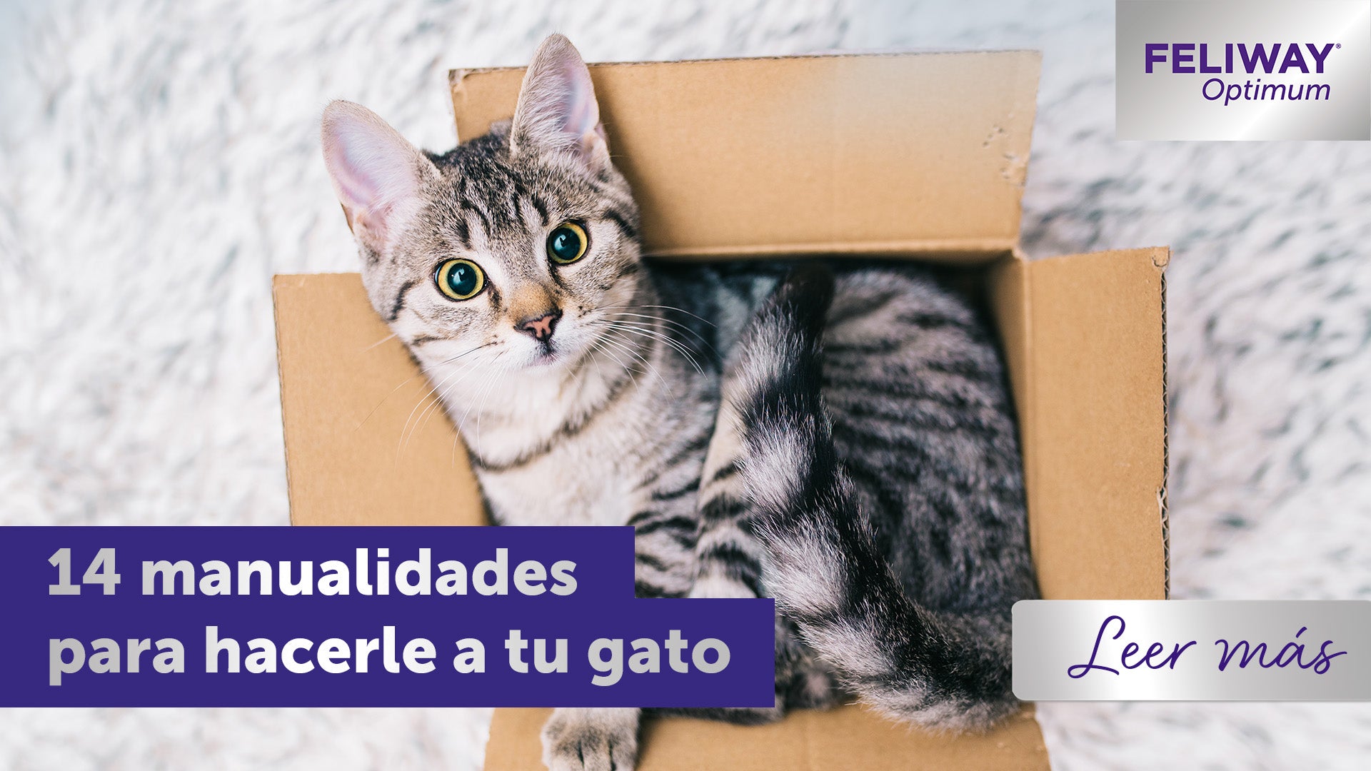 14 divertidas manualidades que puedes hacer para tu gato