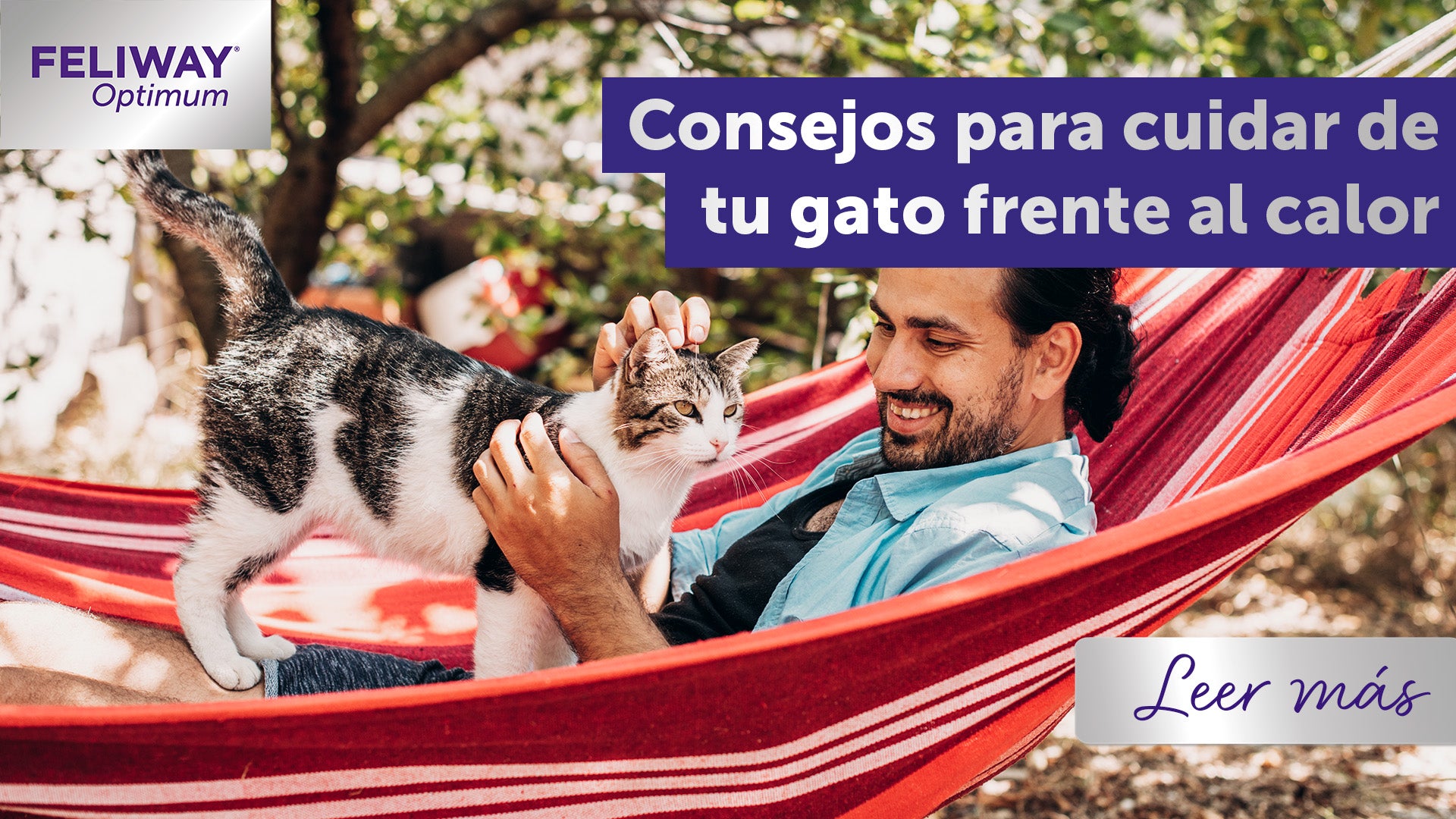 15 consejos para cuidar de tu gato frente al calor del verano