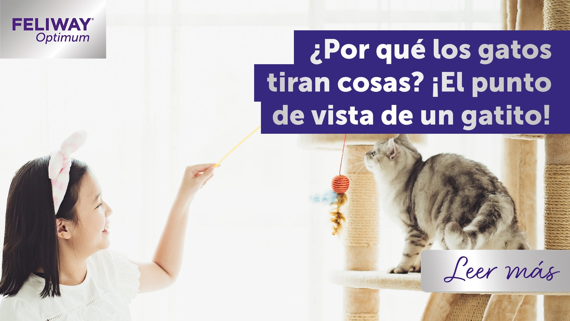 ¿Por qué los gatos tiran cosas? El punto de vista de un gato