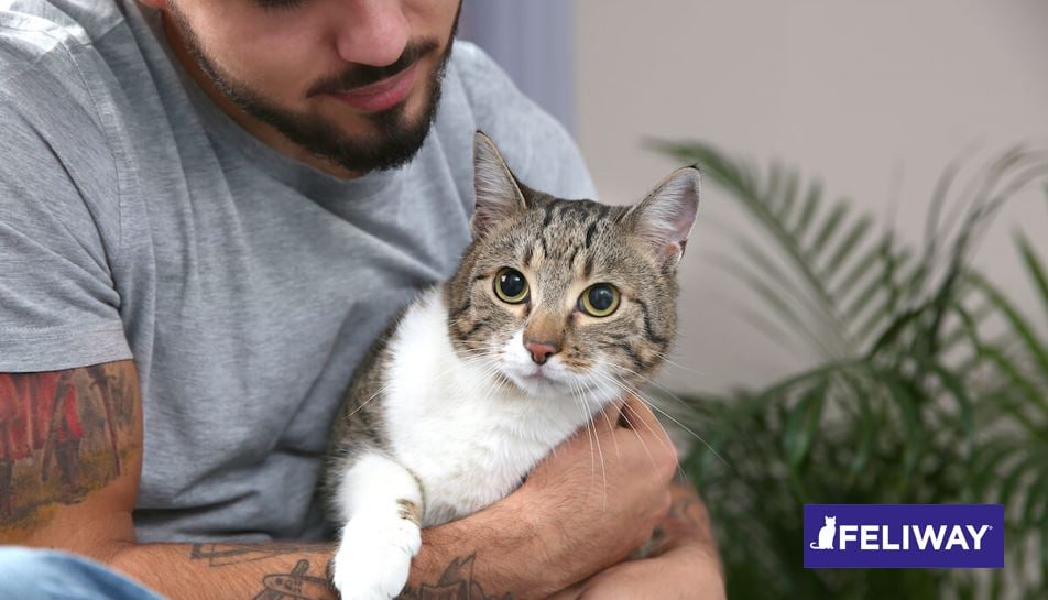 El punto de vista de un gato: ¡Ayuda! No me gustan las visitas