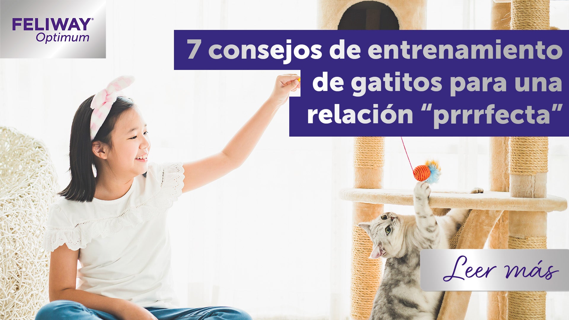 7 consejos de entrenamiento de gatitos para una relación "prrrrfecta"