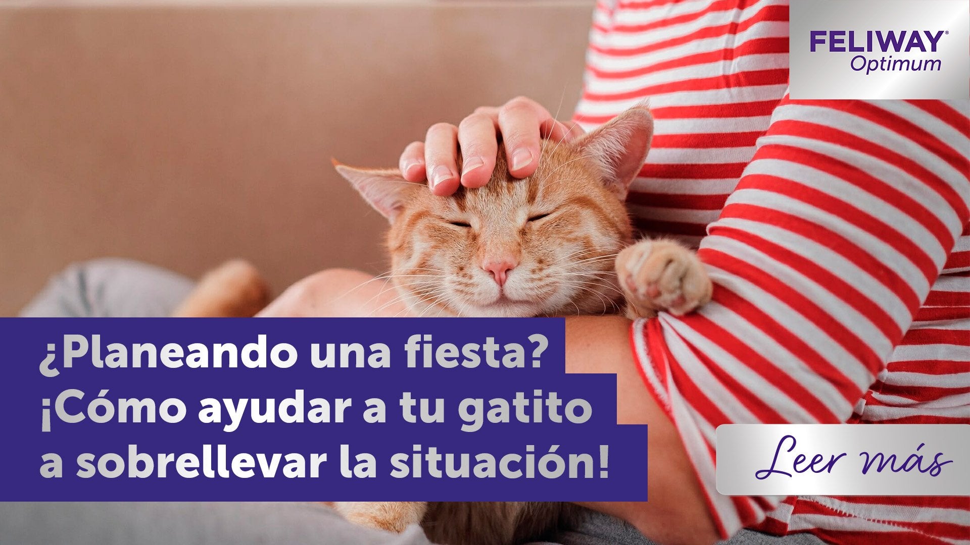 ¿Estás planeando una fiesta? ¡Cómo ayudar a tu gatito a sobrellevarlo!