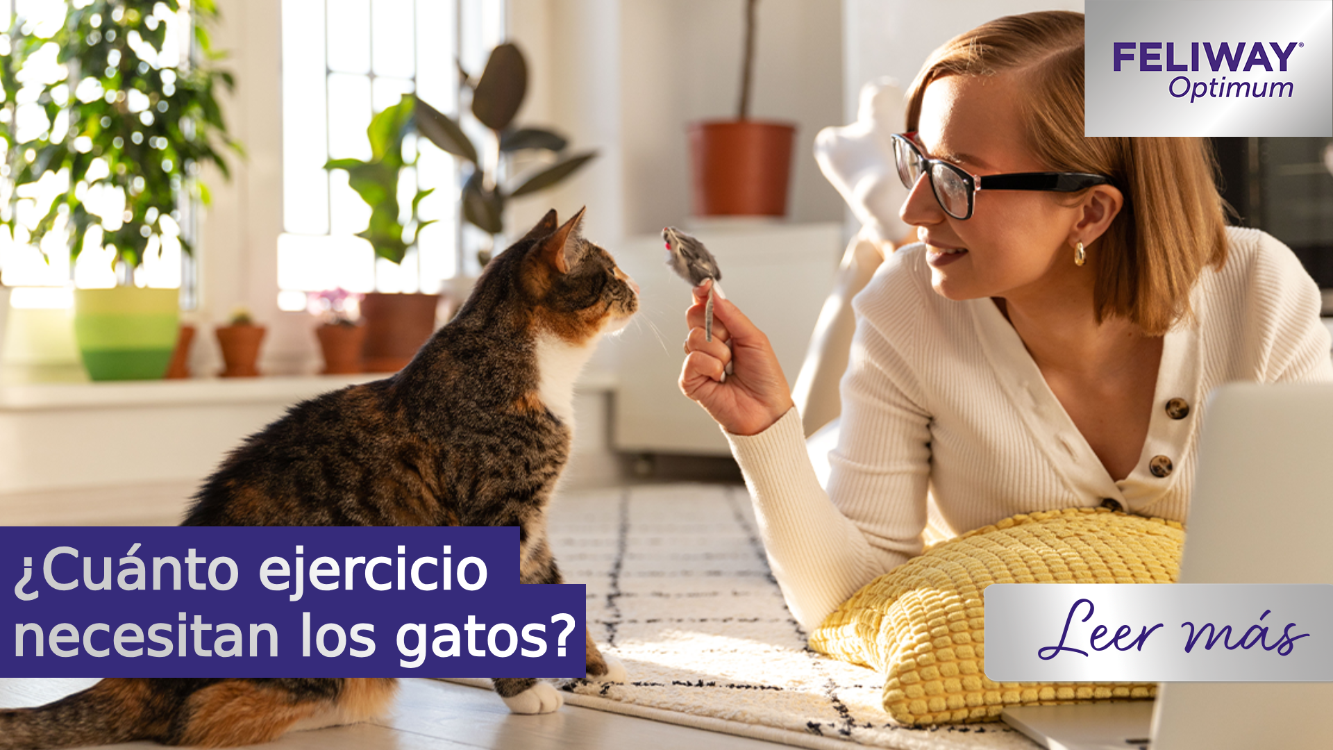 ¿Cuánto ejercicio necesitan los gatos?