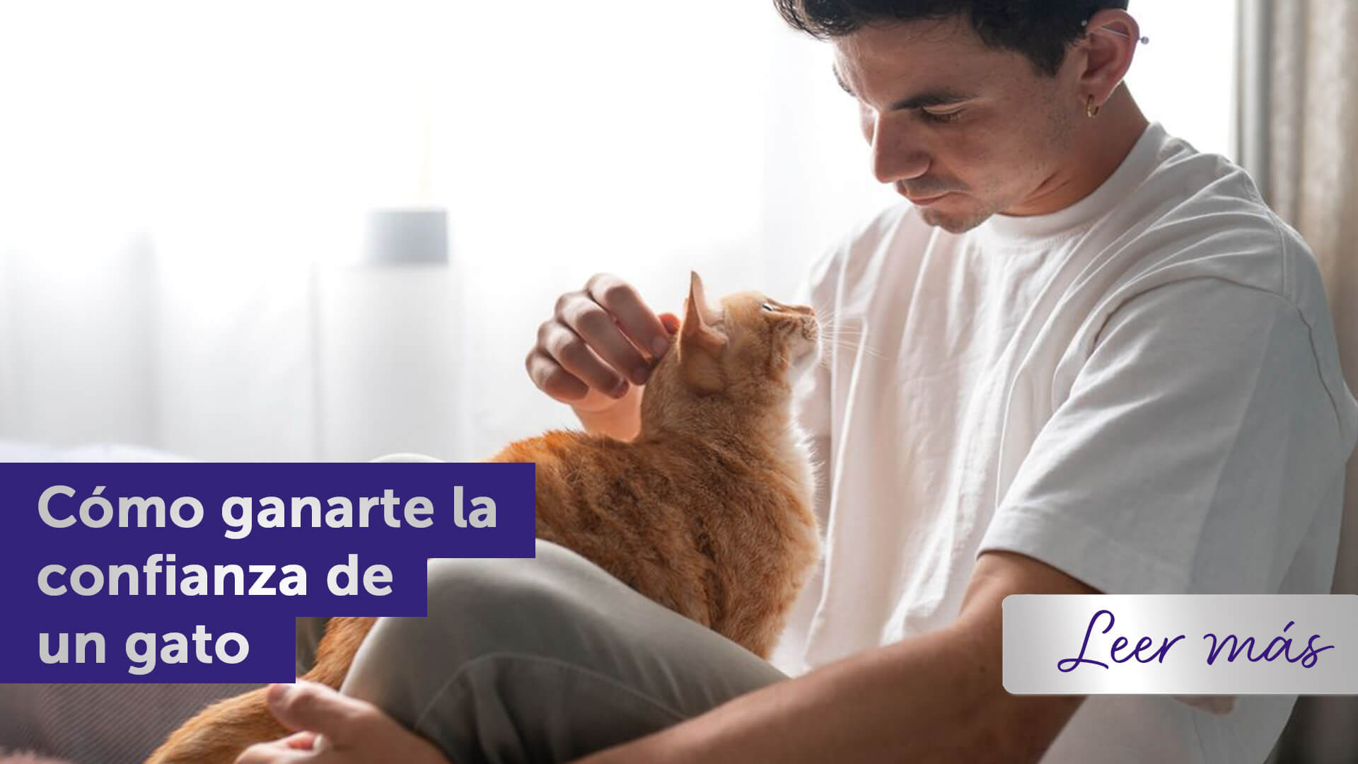 Gato pelirrojo sentado en el regazo de un hombre.