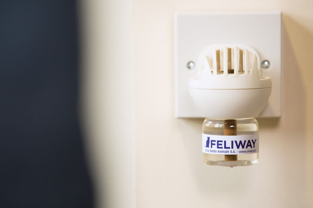 Preguntas frecuentes FELIWAY