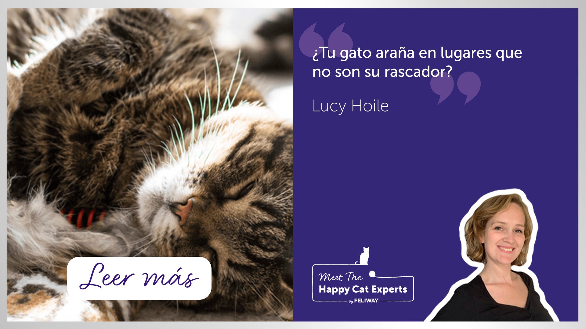 Cómo animar a un gato a utilizar un rascador | Happy Cat Expert