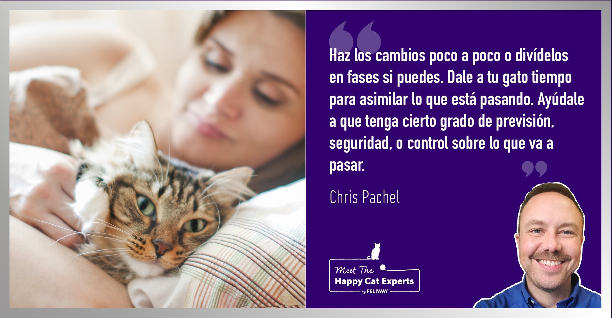 Cómo ayudar a tu gato a adaptarse a nuevos entornos | Happy Cat Expert