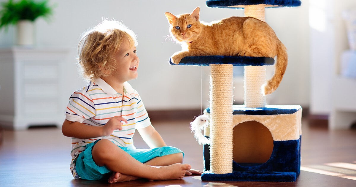 Recomendaciones para educar a los niños en la convivencia con el gato