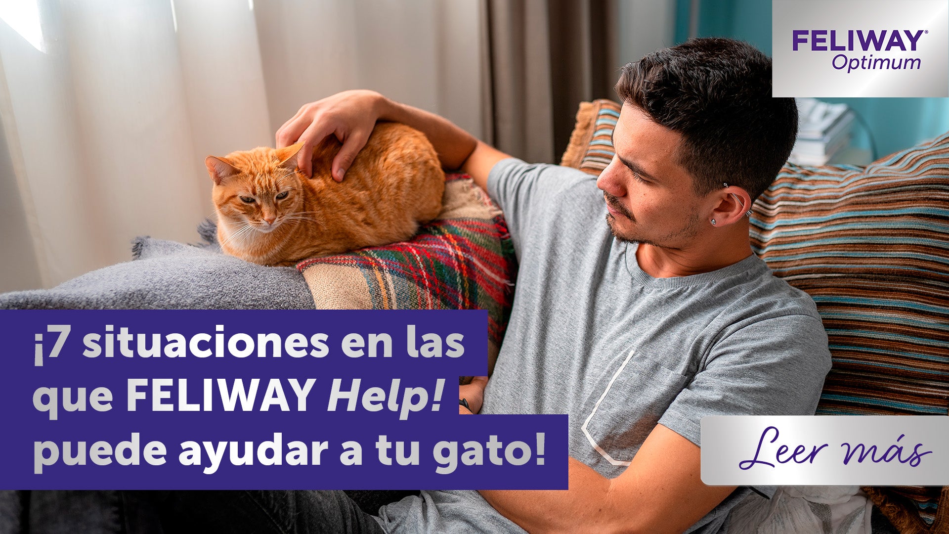 7 momentos en los que puedes ayudar a tu gato con FELIWAY Help!