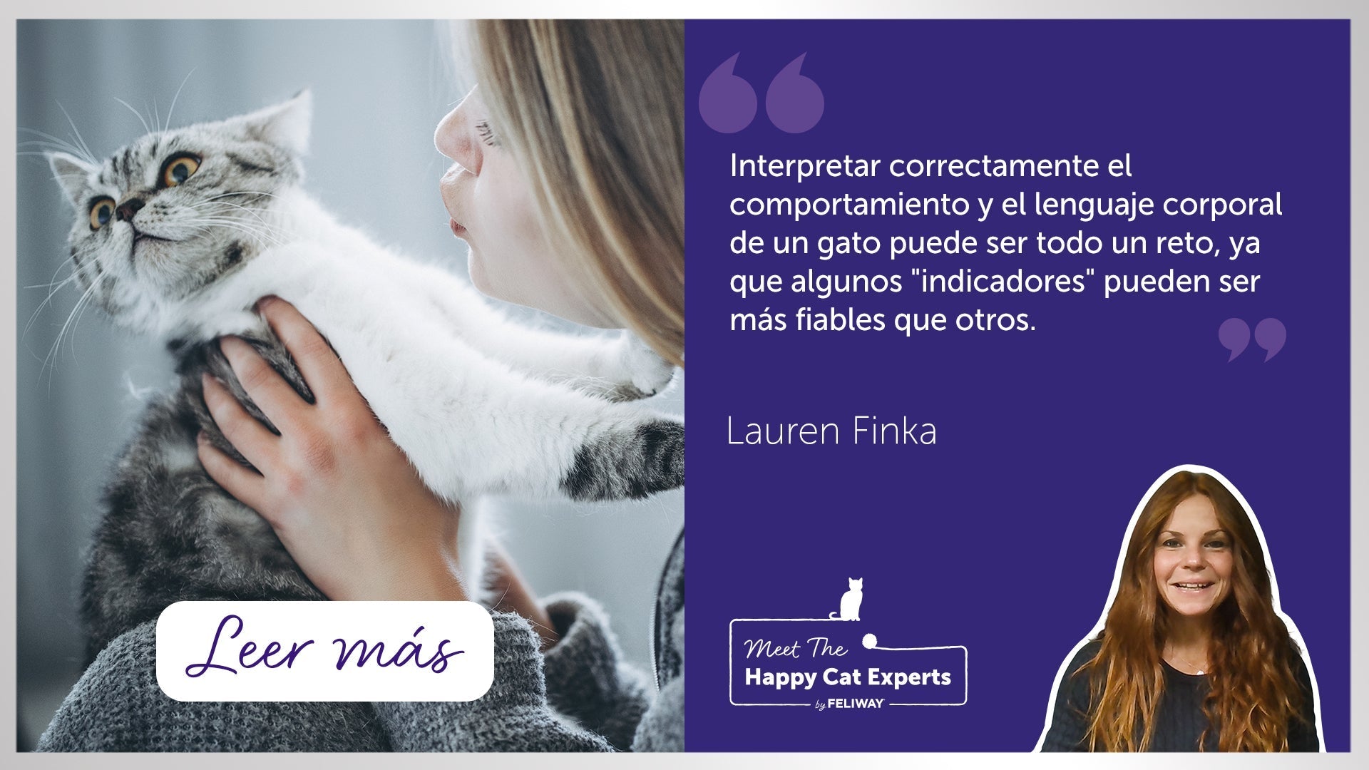 Signos de estrés e incomodidad en los gatos | Happy Cat Expert