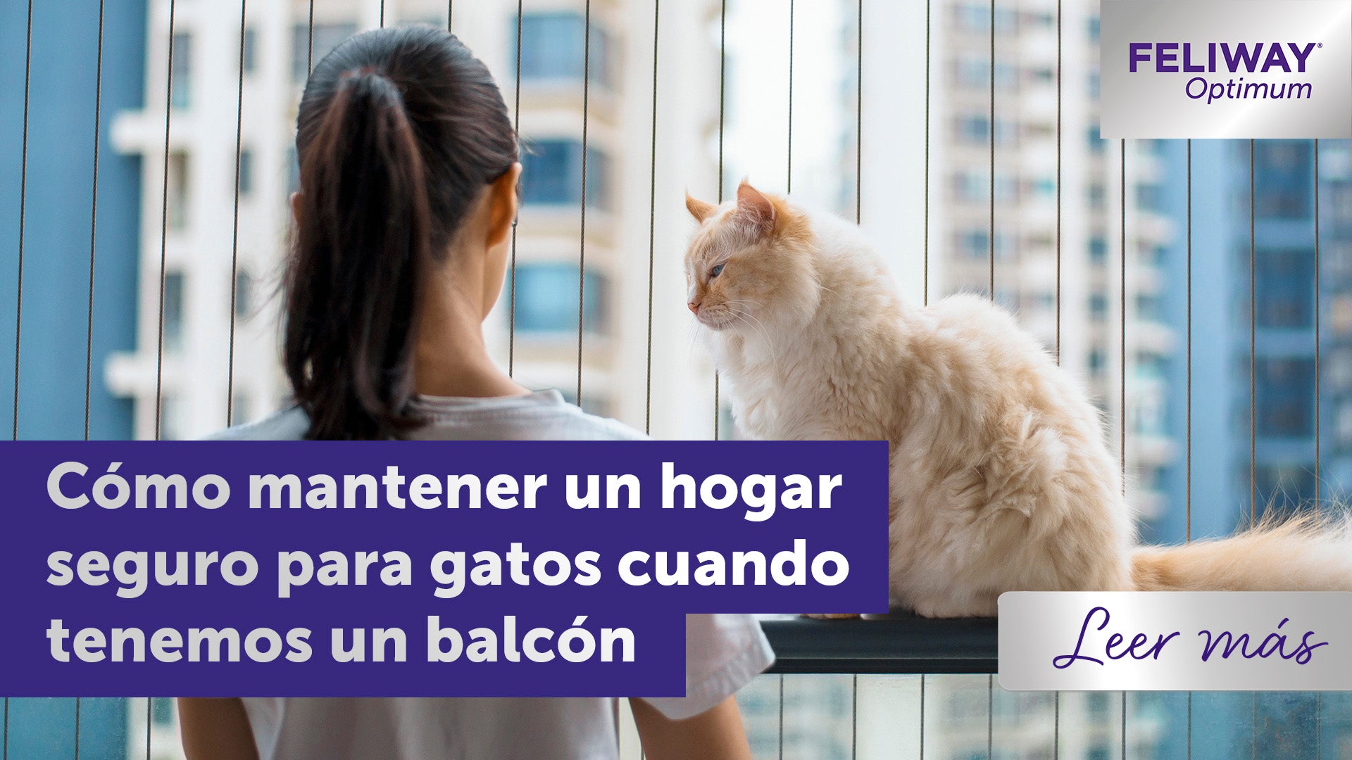 Cómo mantener un hogar seguro para tu gato cuando tienes un balcón