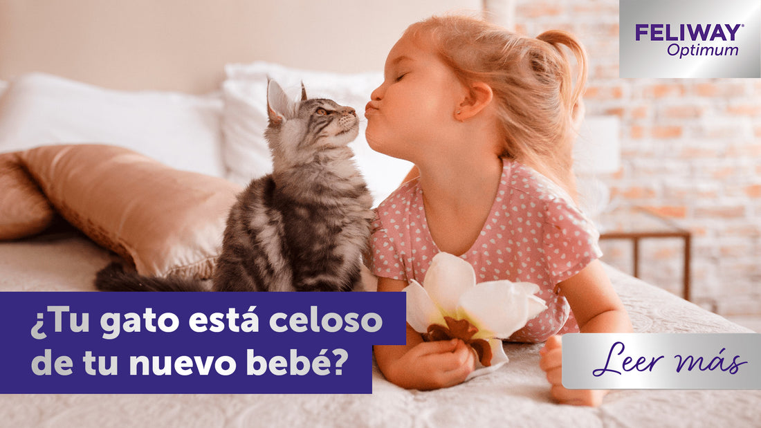 ¡Ayuda! ¿Mi gato tiene celos de mi bebé?