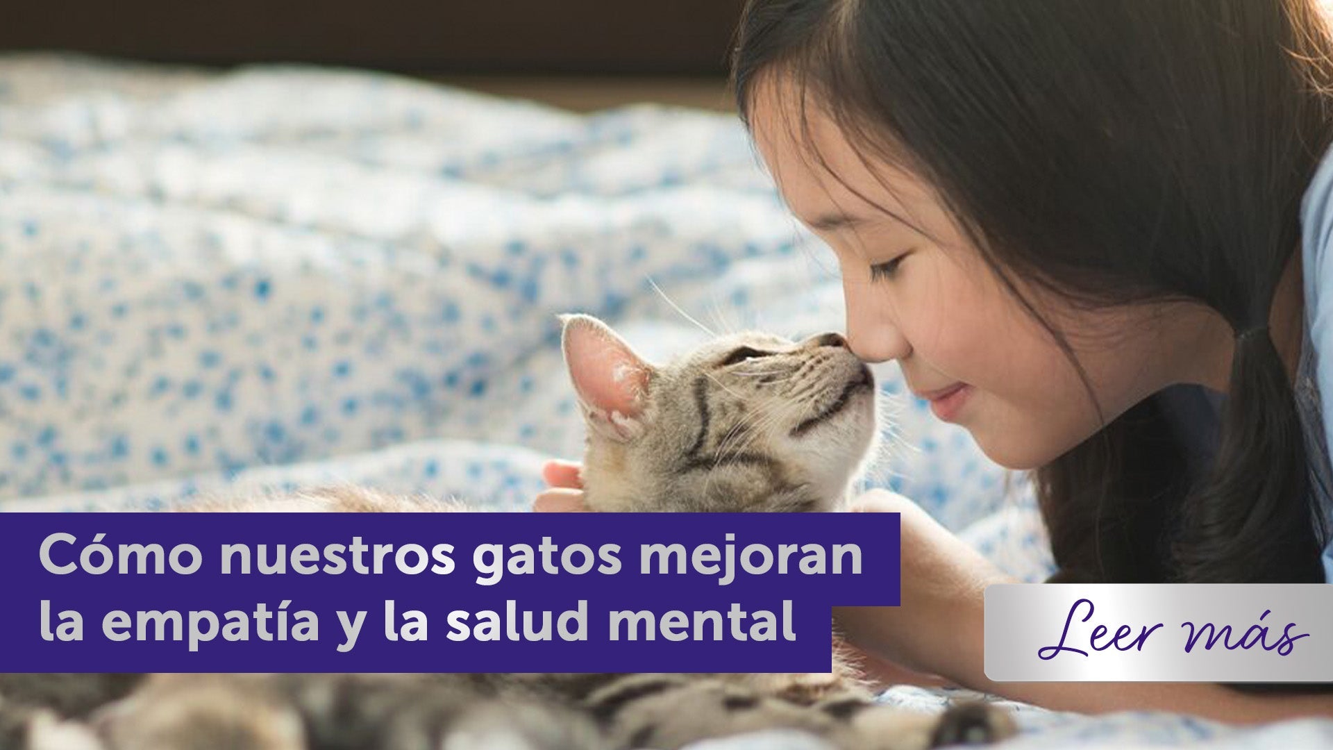 Niña acariciando a su gato American Shorthair, que la mira con ternura