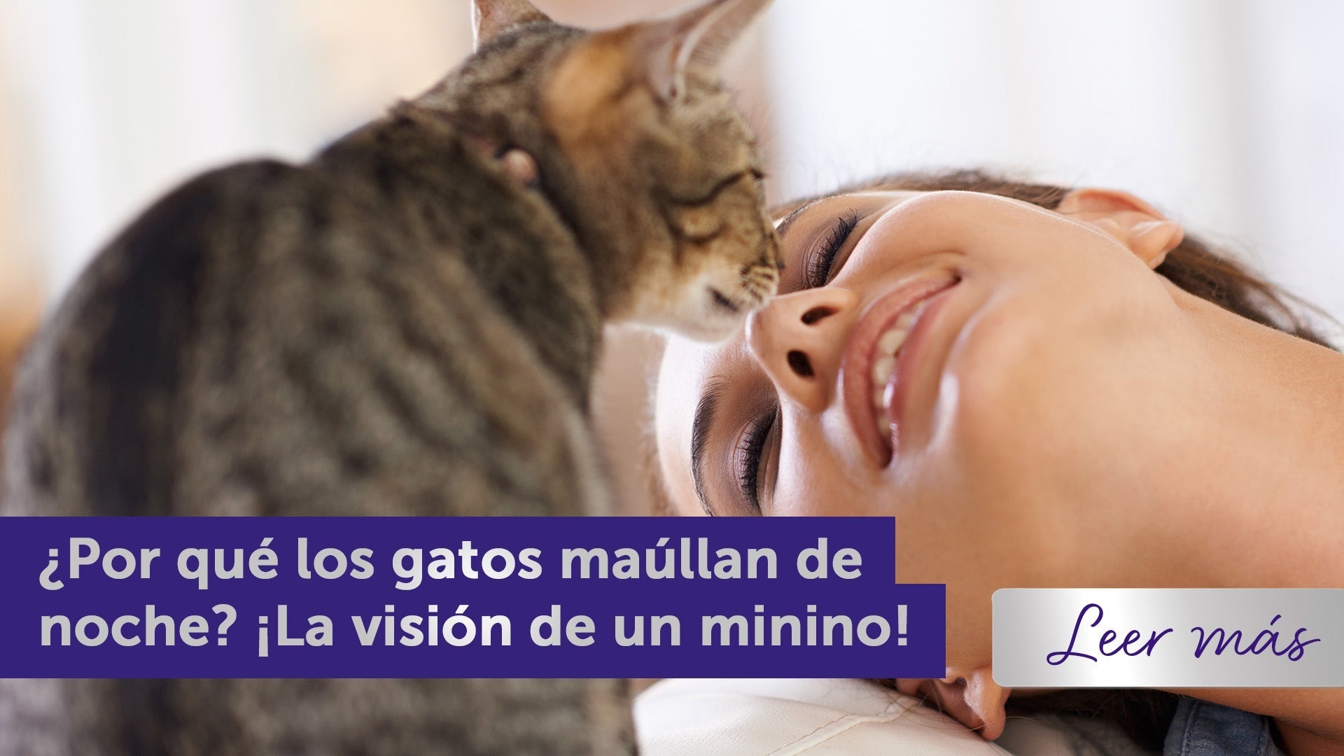 gato y mujer con las caras juntas