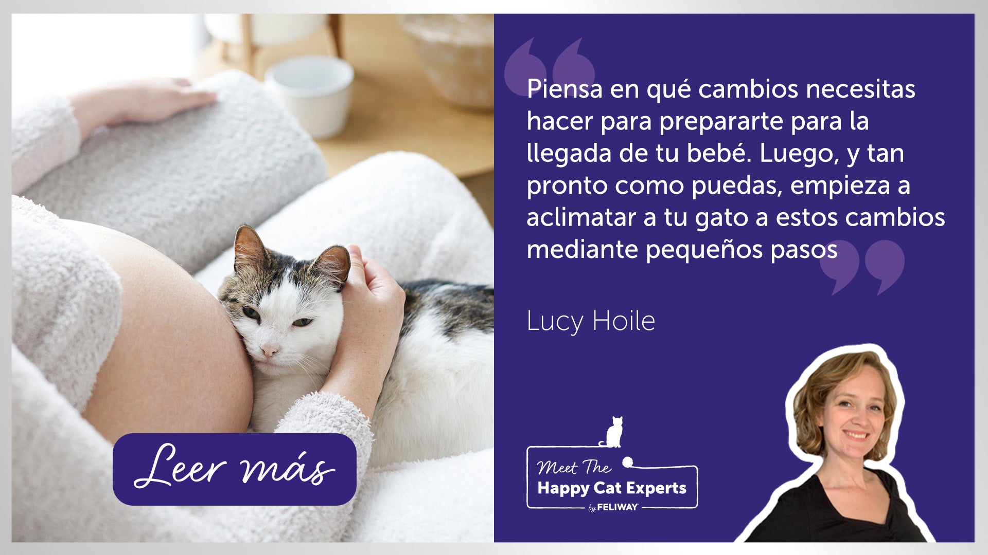 gato apoyando en la barriga de una embarazada