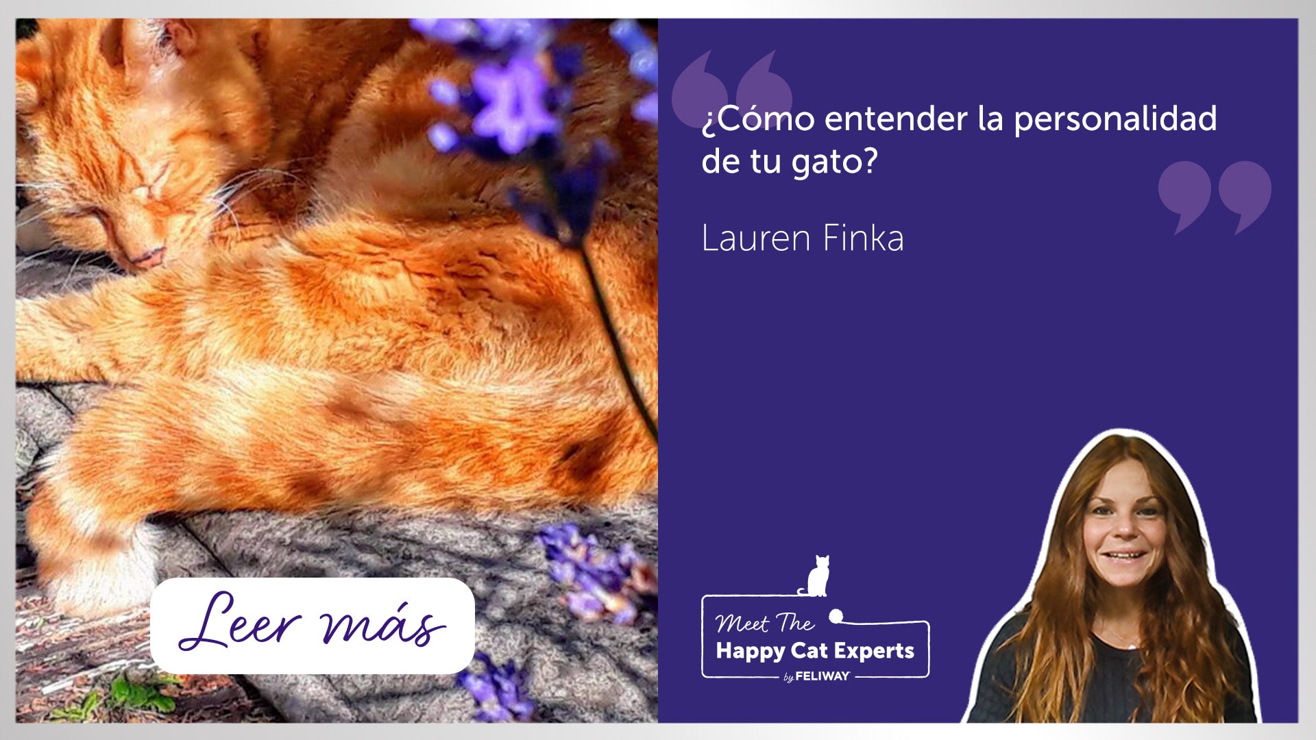 Gato pelirrojo holgazaneando al aire libre bajo el sol.