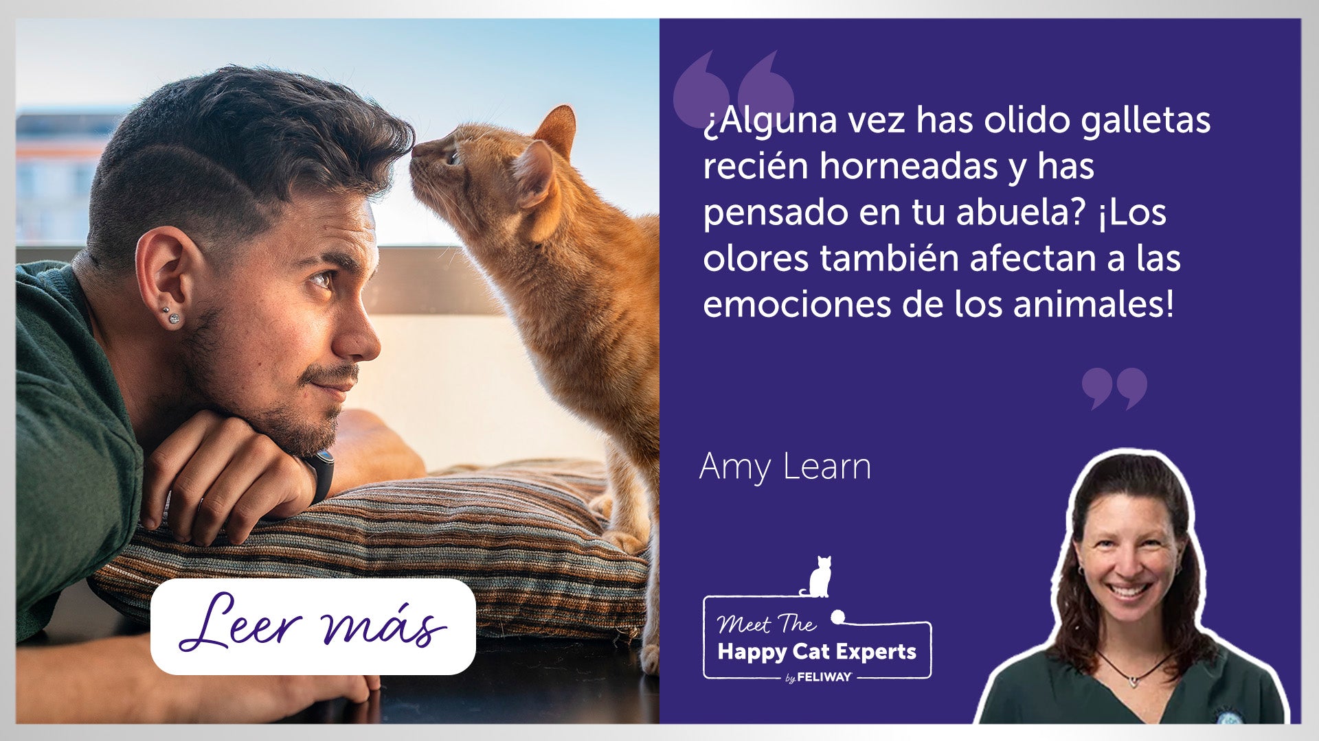 Los sentidos y nuestros gatos: El olfato | Happy Cat Expert