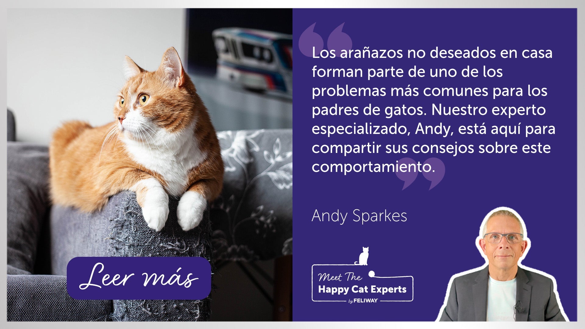 Gato naranja sentado sobre el brazo de un sofá arañado.