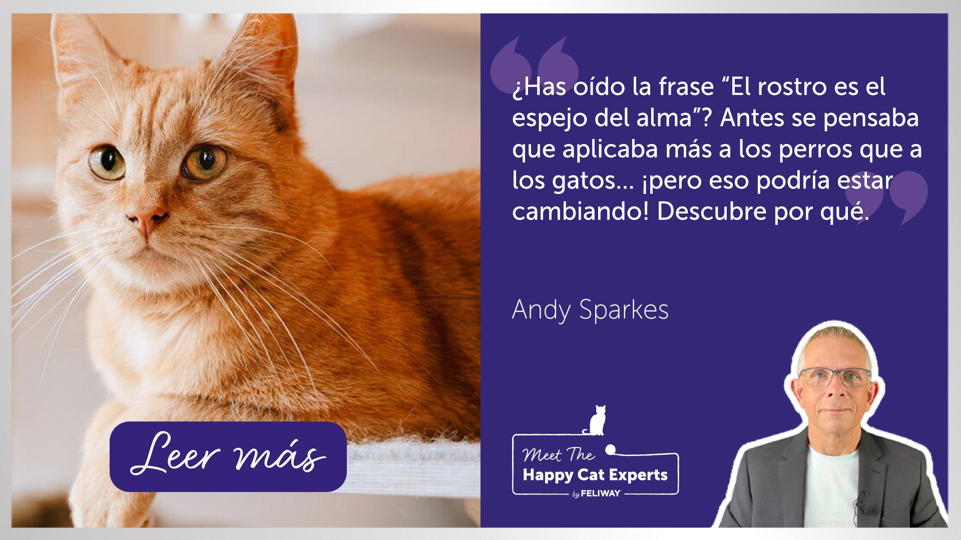 Gato atigrado acostado en un rascador para gatos.