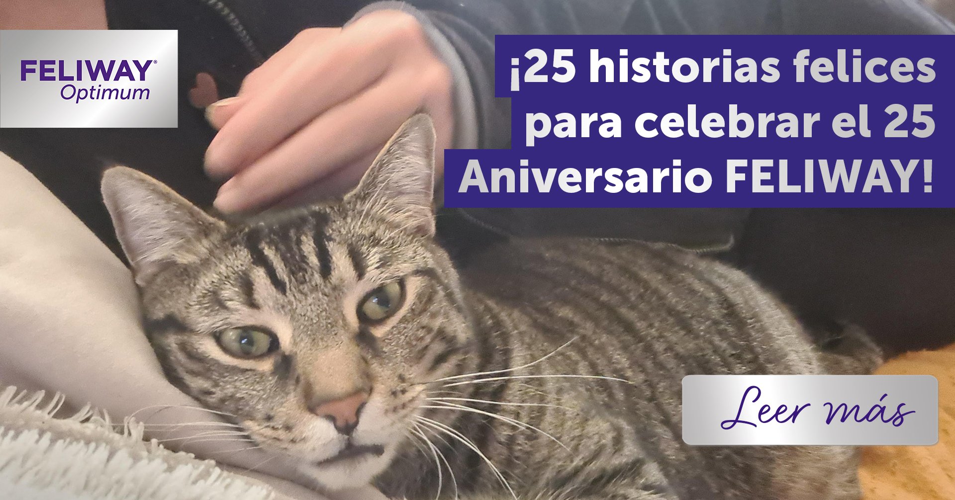 25 historias felices de gatos por el 25 Aniversario de Feliway