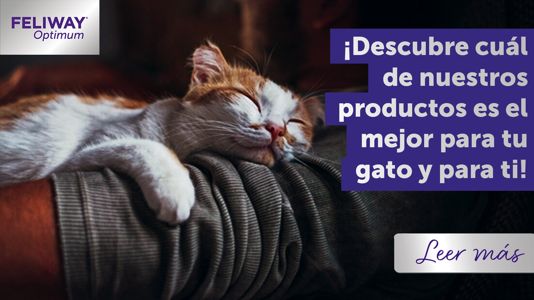 ¿Cuál es el mejor FELIWAY para mi gato y para mí?