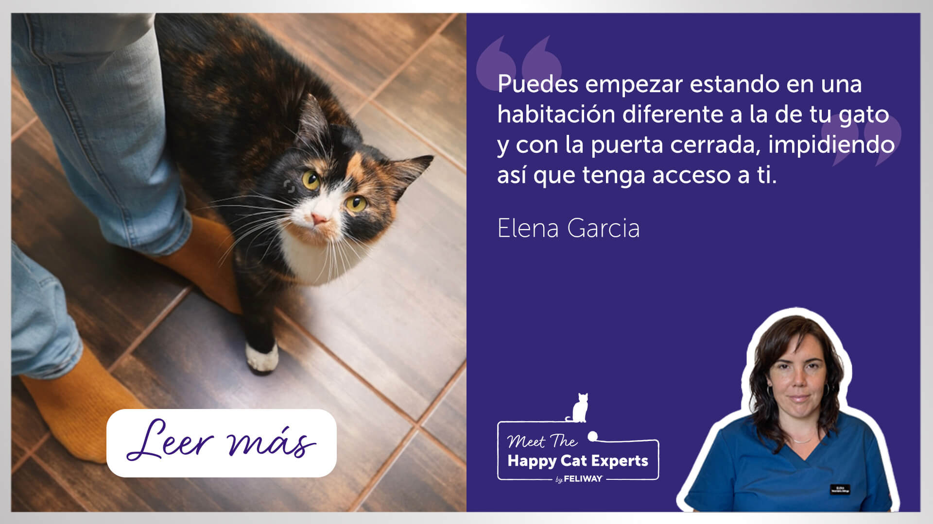 gato a los pies de una persona.