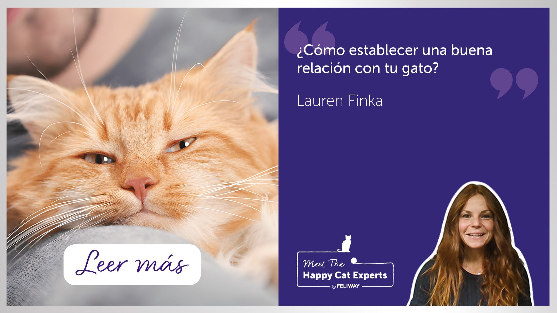 gato naranja apoyado con un hombre detrás.