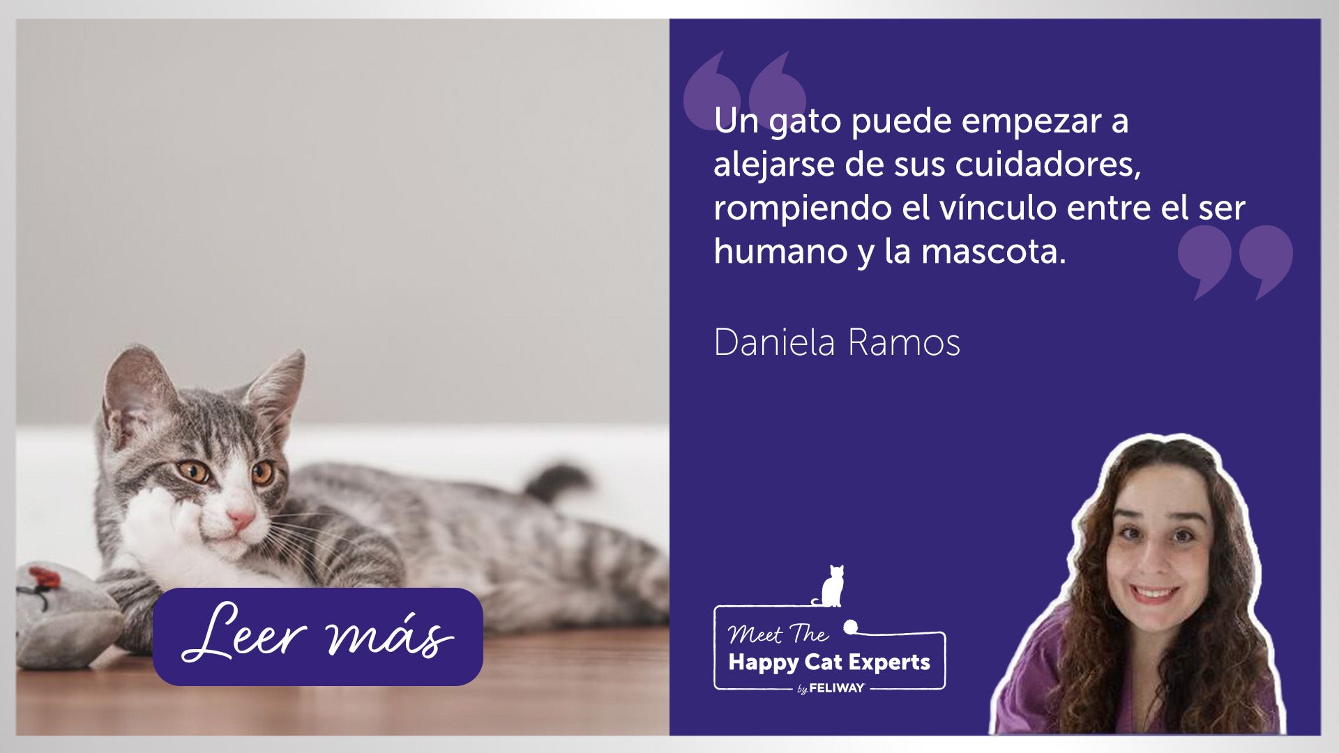 Dedo señalando la nariz de un gato gris.