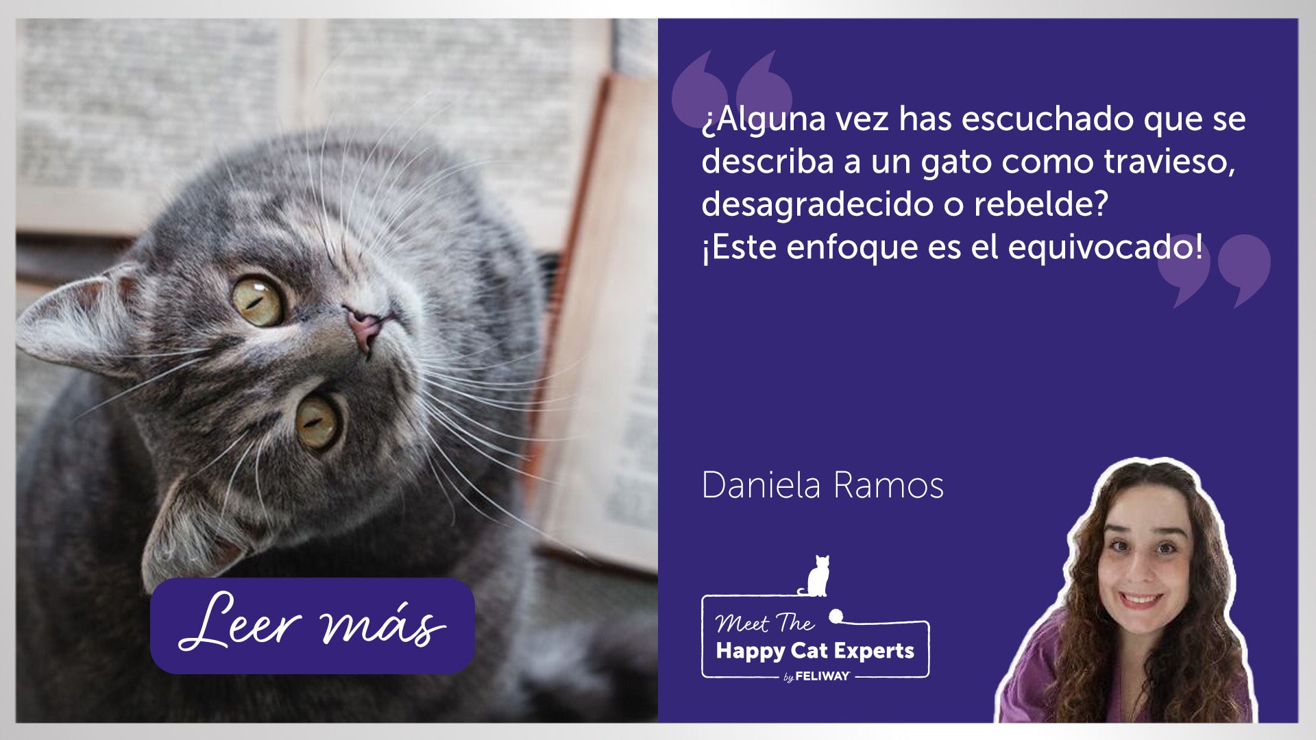 Gato gris sentado sobre una pila de libros abiertos.