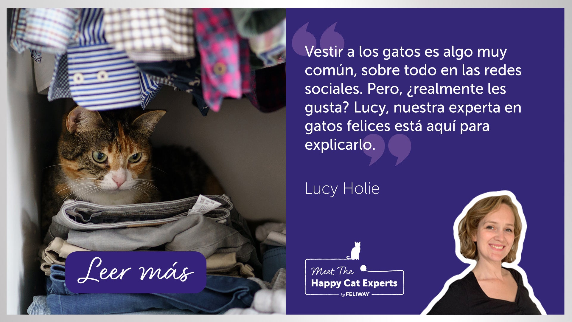 ¿Está bien vestir a un gato con ropa? ¡Una experta en gatos felices lo explica! | Happy Cat Expert
