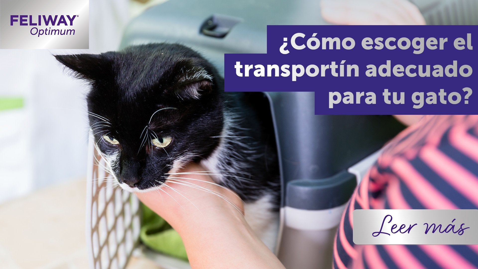 Cómo elegir el transportín adecuado para tu gato
