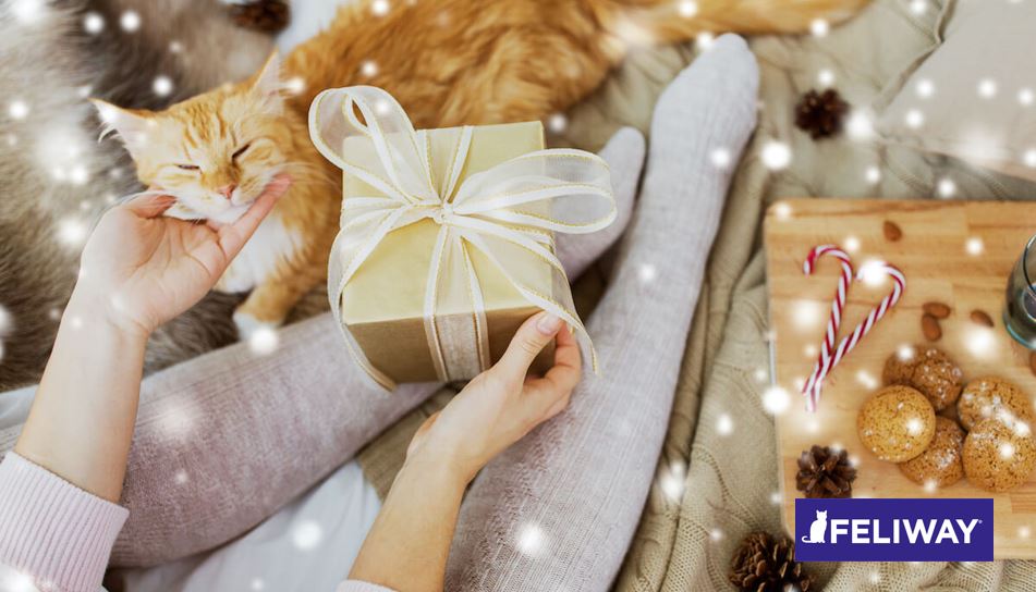 Los mejores regalos de Navidad para tu gato
