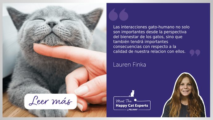 ¿Cómo interactuar con tu gato para que esté feliz?