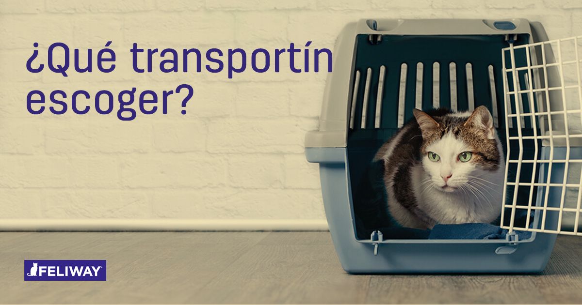 ¿Cuál es el mejor transportín para viajar con mi gato?