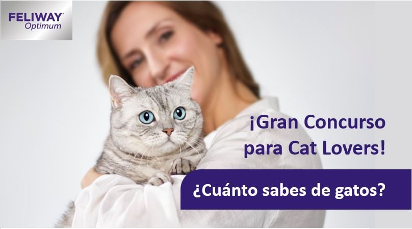 ¡Vuelve el concurso para Cat Lovers! ¿Eres un experto en gatos?
